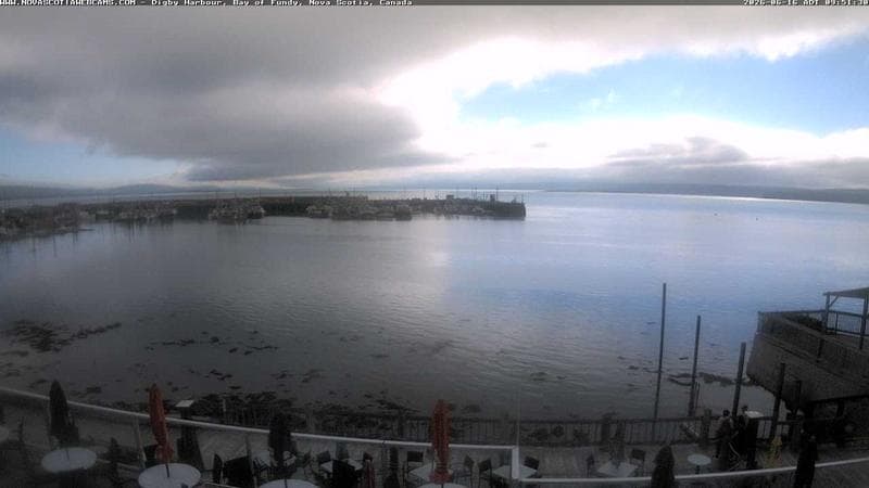 Digby Harbour