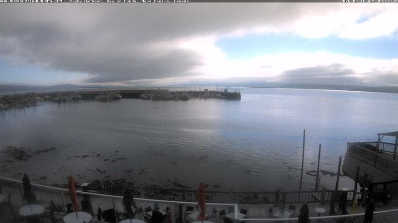 Digby Harbour