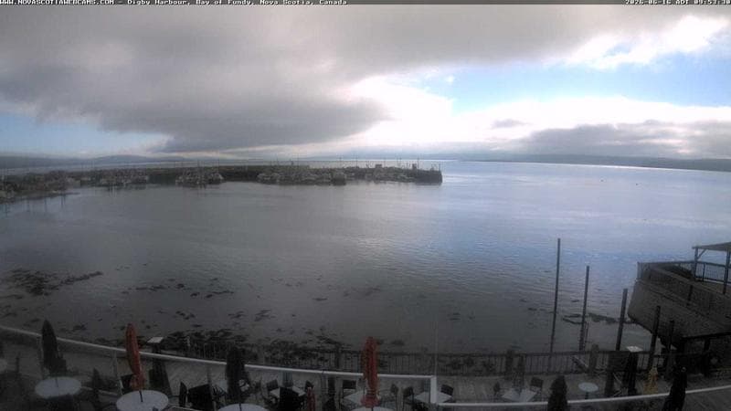 Digby Harbour