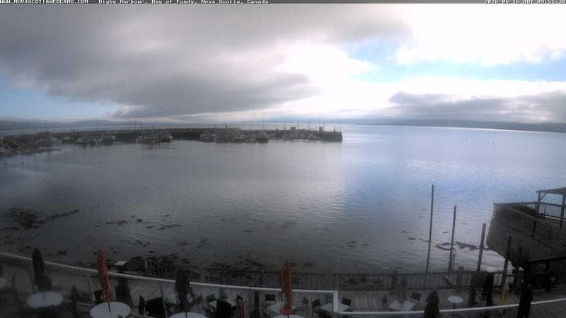 Digby Harbour