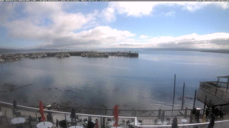 Digby Harbour