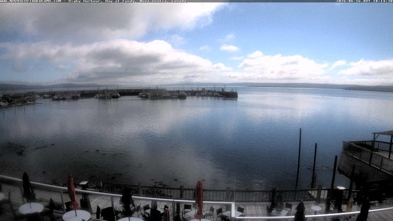Digby Harbour