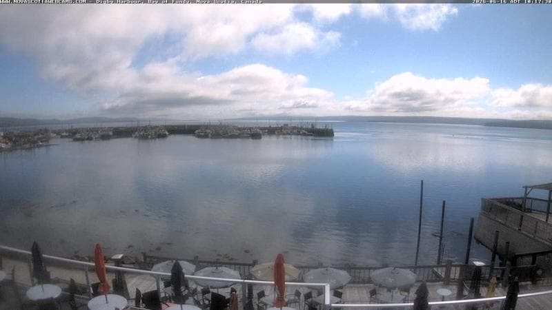 Digby Harbour