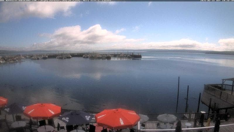 Digby Harbour