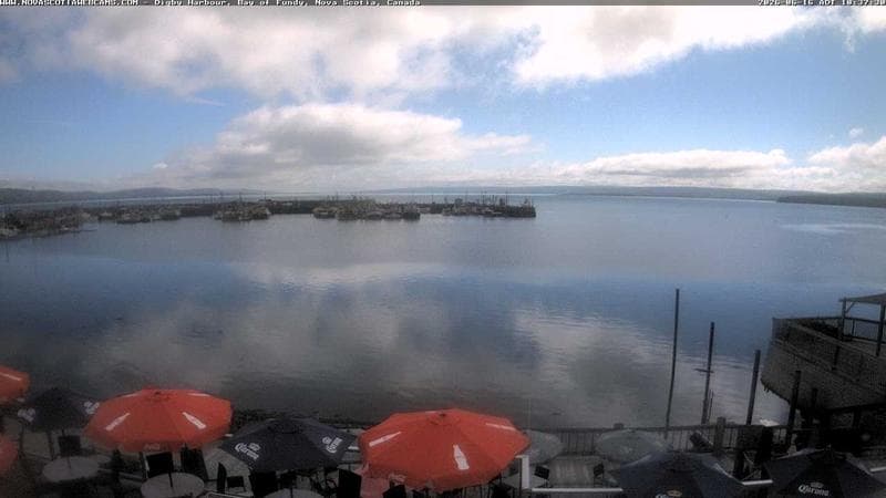 Digby Harbour