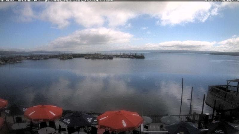Digby Harbour