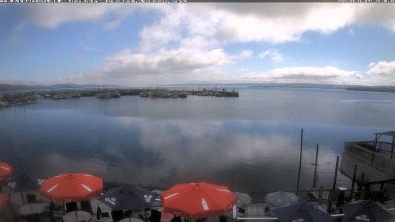 Digby Harbour