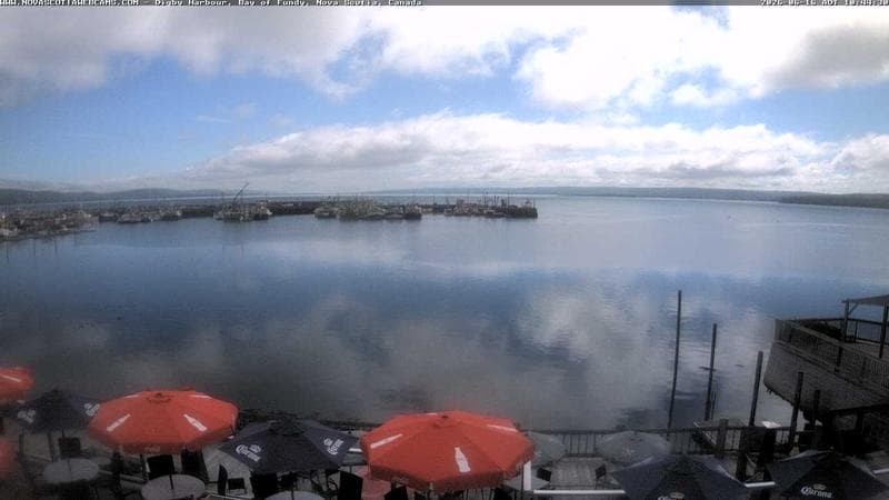 Digby Harbour