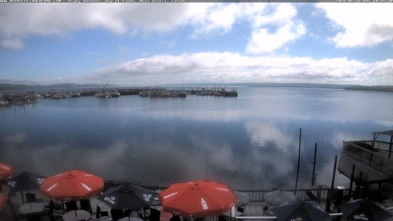 Digby Harbour