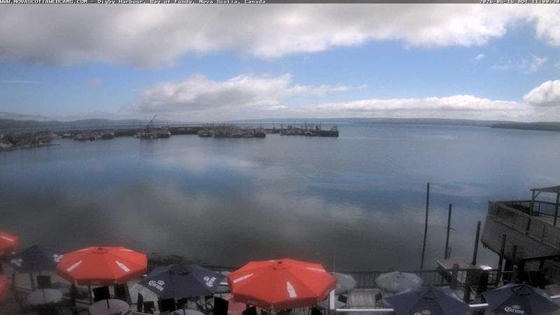 Digby Harbour