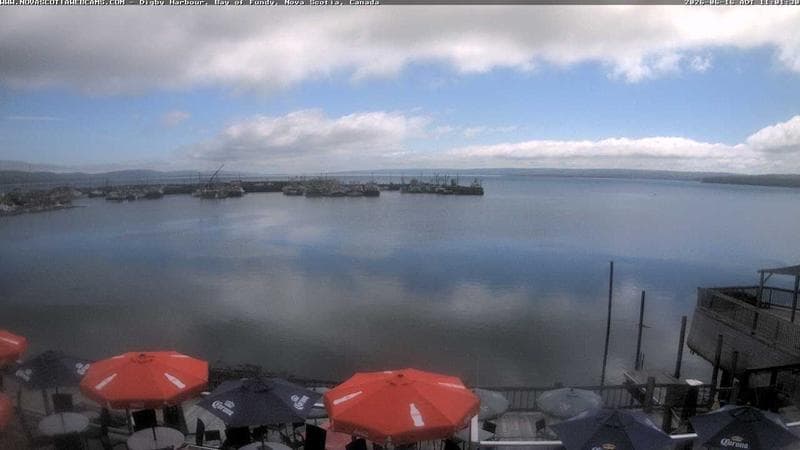 Digby Harbour