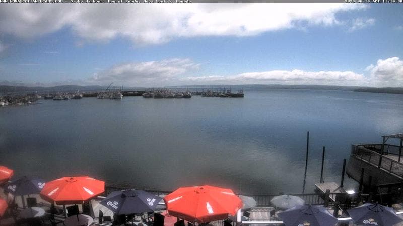 Digby Harbour