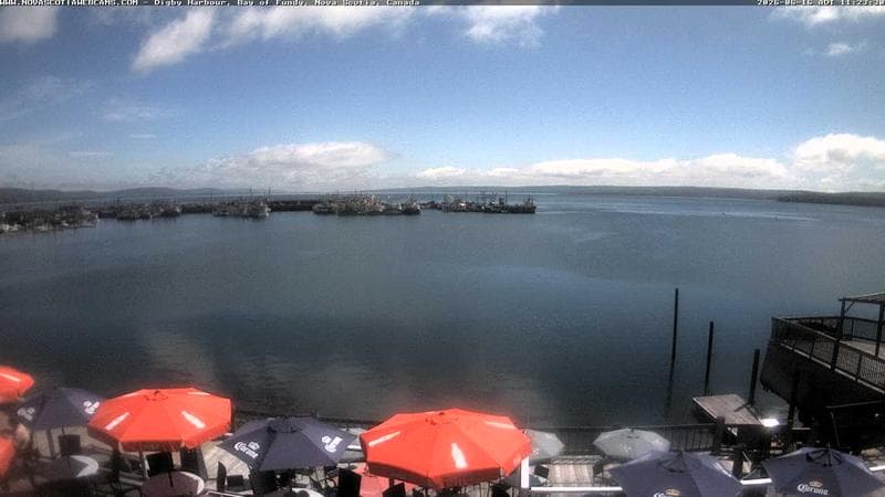 Digby Harbour