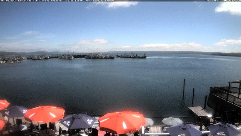 Digby Harbour