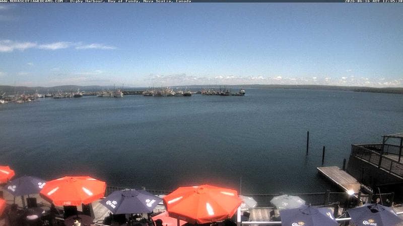Digby Harbour