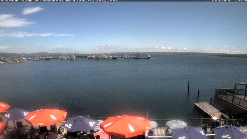 Digby Harbour