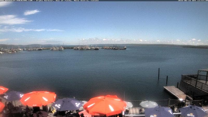 Digby Harbour