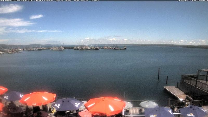 Digby Harbour