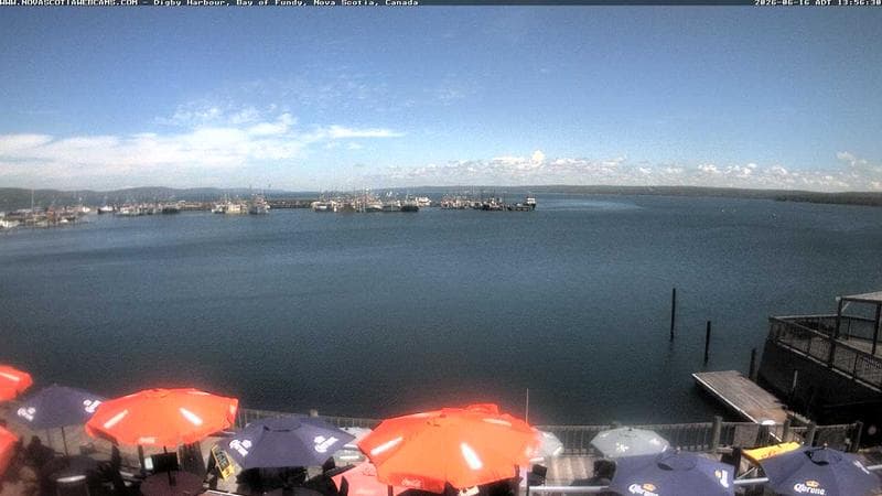 Digby Harbour