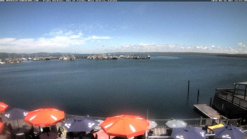 Digby Harbour