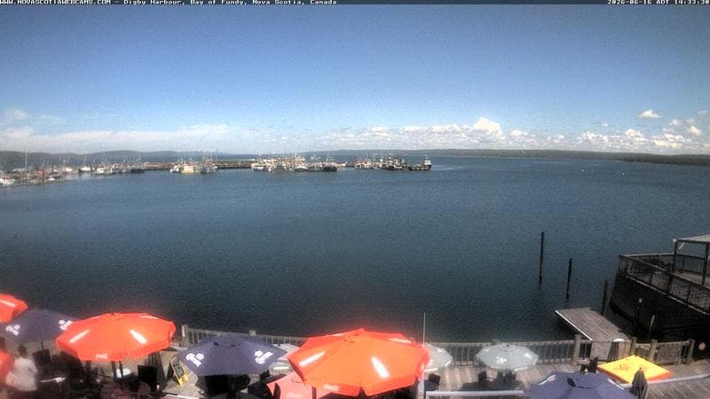 Digby Harbour
