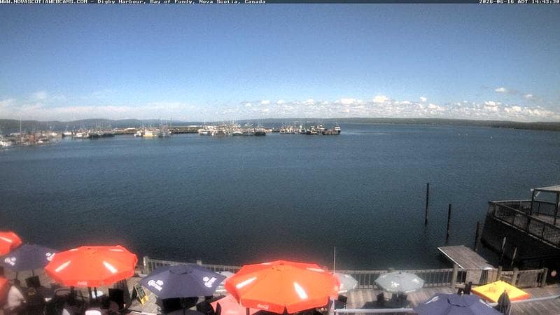 Digby Harbour