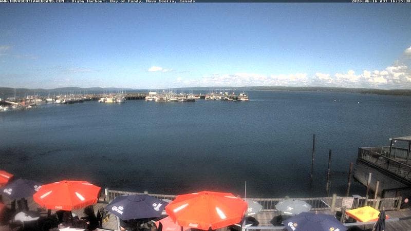 Digby Harbour