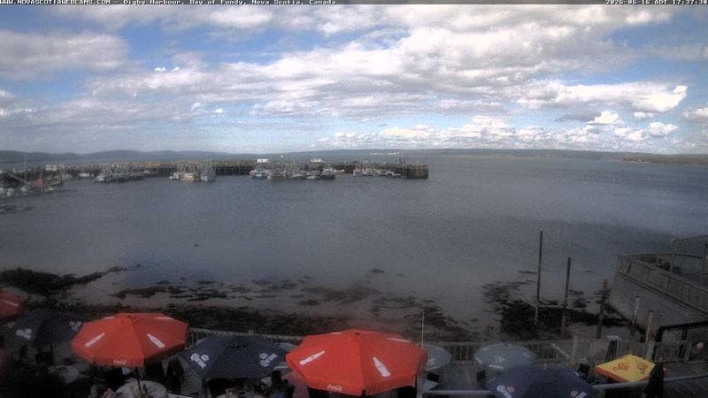 Digby Harbour