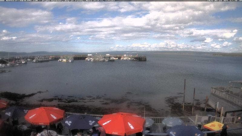 Digby Harbour