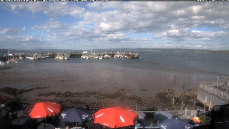 Digby Harbour