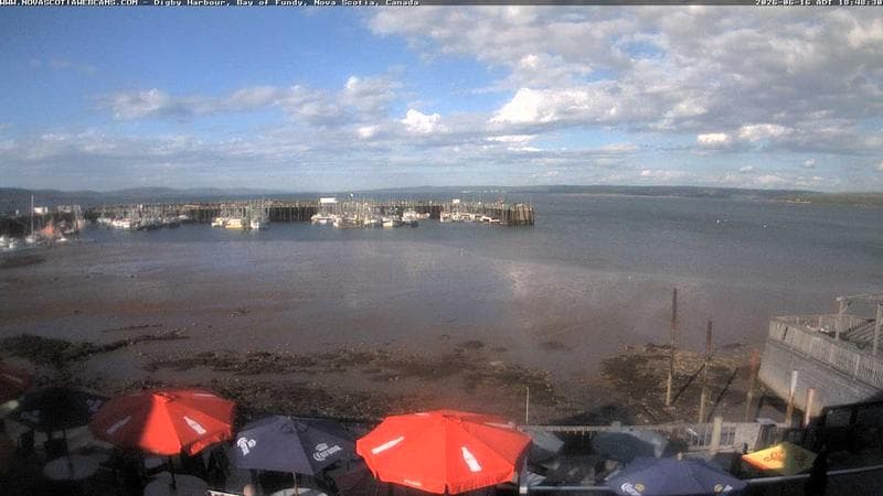 Digby Harbour
