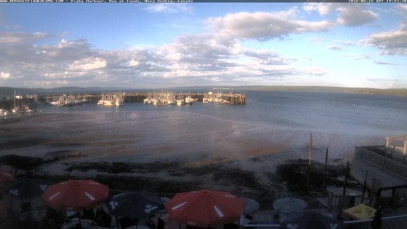 Digby Harbour