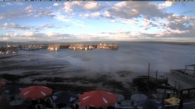 Digby Harbour