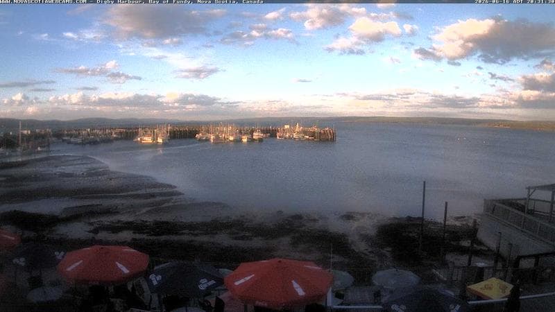 Digby Harbour