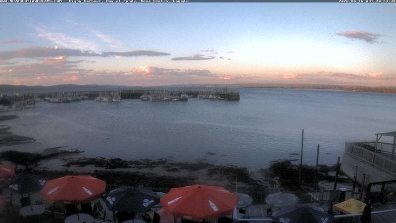 Digby Harbour