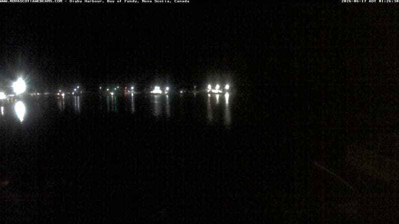 Digby Harbour