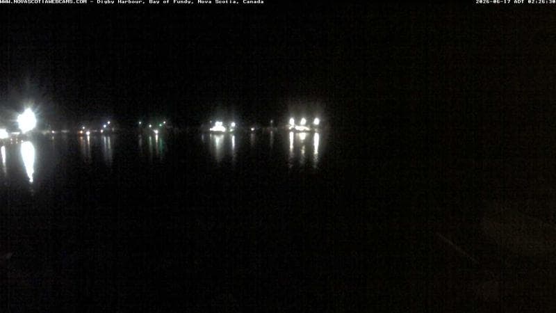Digby Harbour
