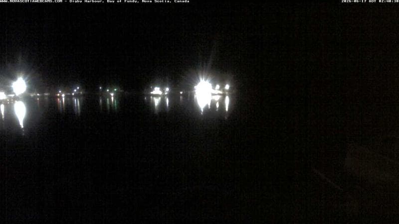 Digby Harbour