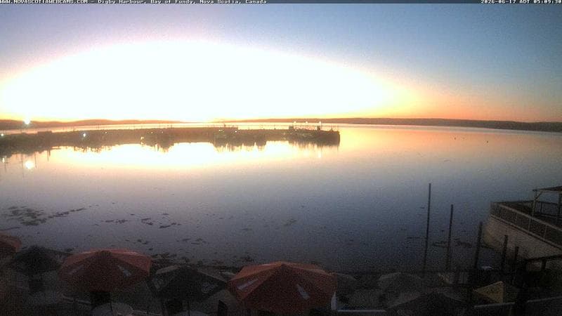 Digby Harbour