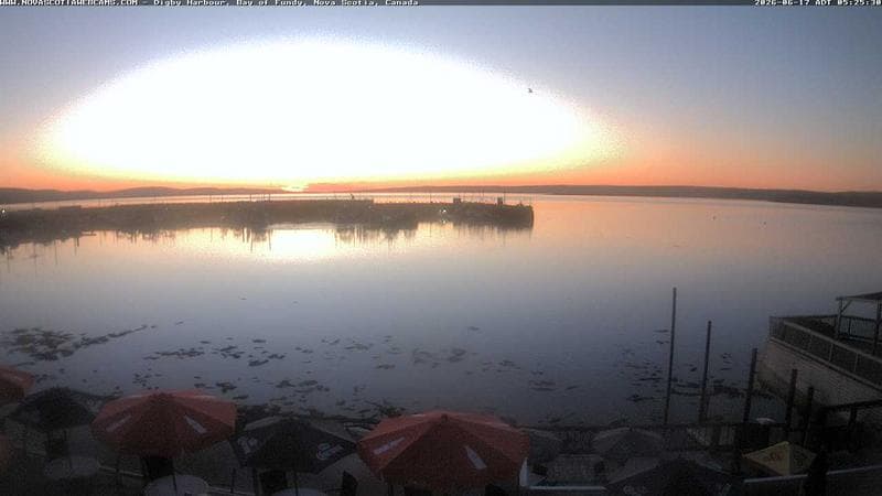 Digby Harbour