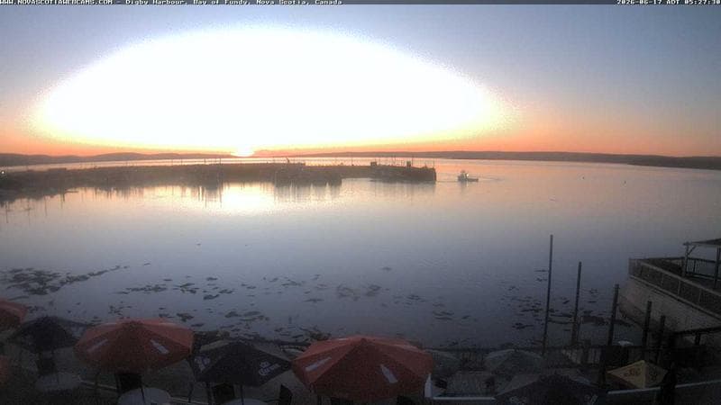 Digby Harbour