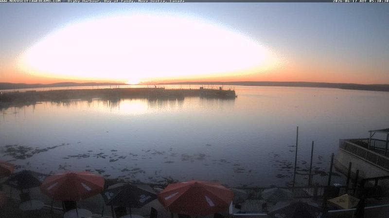 Digby Harbour