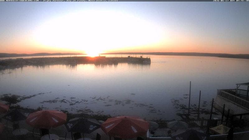 Digby Harbour