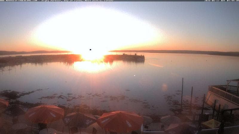 Digby Harbour