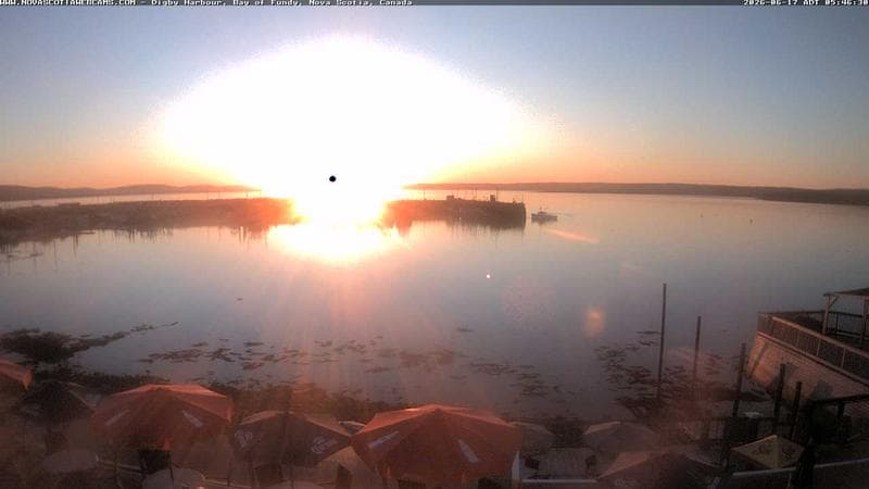 Digby Harbour