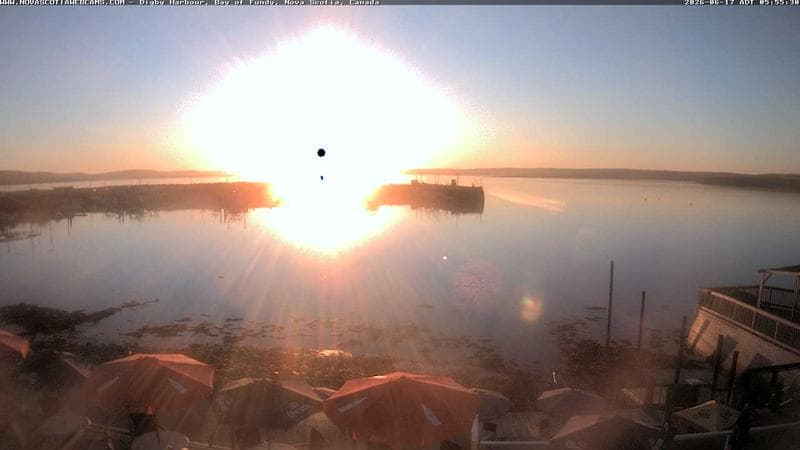 Digby Harbour