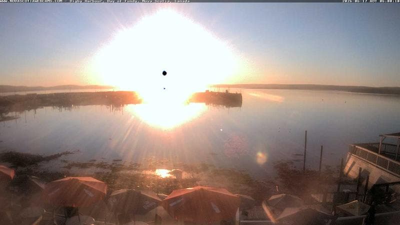 Digby Harbour