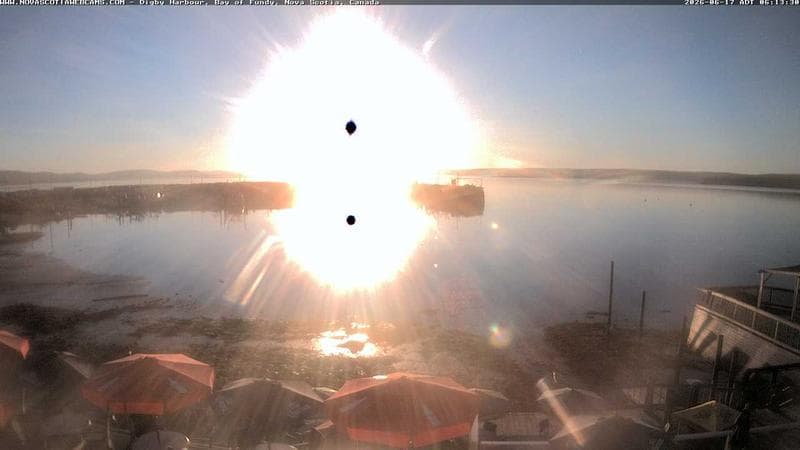 Digby Harbour