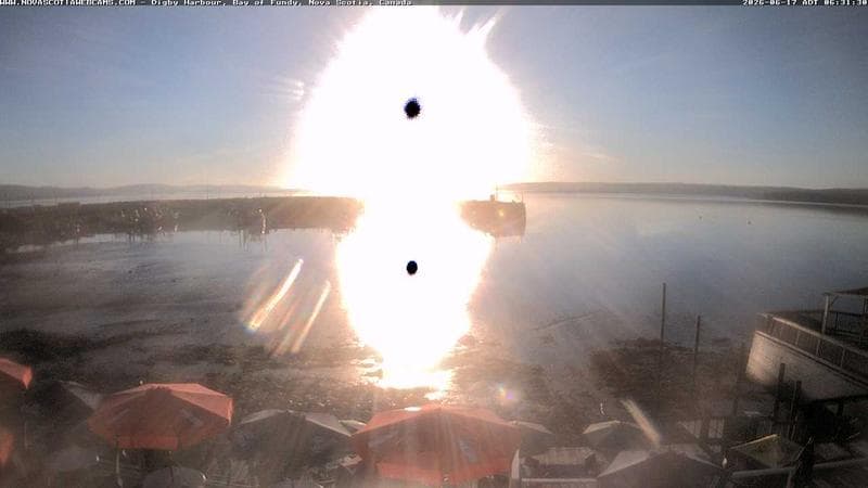 Digby Harbour