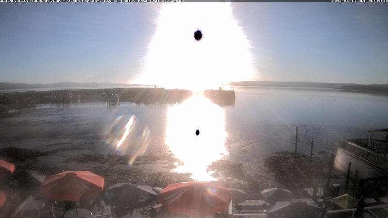 Digby Harbour